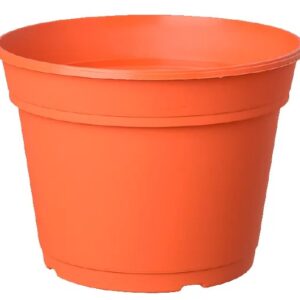 Maceta Holanda 10cm