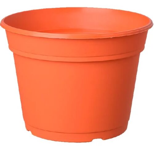 Maceta Holanda 10cm