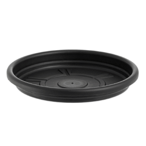 500x500 - 2026-03-17T104413.287 Plato redondo Bella Fiore Negro 17cm
